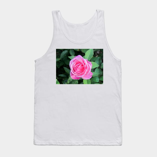 Pink Rose Tank Top by Cynthia48